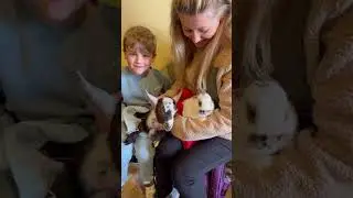 Pennywell Farm Adventures: Farm Animals & More! 🐮🌈