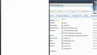 Ficheiros e Streams: Serialization 3