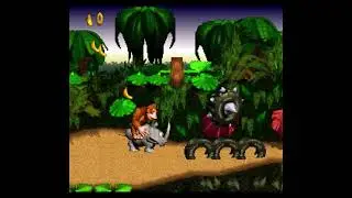 Blind Kaizo Donkey Donkey God Mode (Super Donkey Kong Hack)