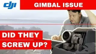 Mavic Pro Horizon Issue - Are YOU affected too?