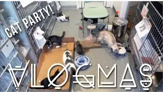 I MADE A VLOG CHANNEL?! VLOGMAS DAYS 15-20