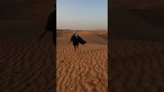 Dubai x Arabian Nights