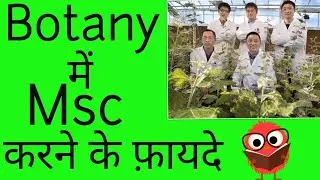 Botany me msc karne ke fayde,jobs after msc in botany,msc botany career in hindi, knowledge adda