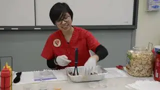 The Digestive System  Making Poo