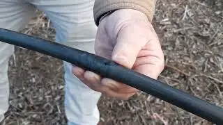 Video 10 - Riego por goteo en frambuesas