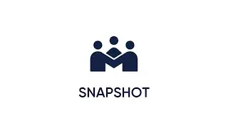 SNAPSHOT BLACKBIRD PLC   Investor Update