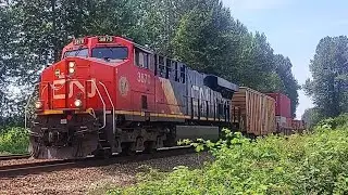Huge CN Stack Train w/Safety Inspection Boxcar At Glen Valley Canada