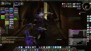 Scarlet enclave Raid prog Frost/Heal mage POV