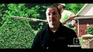 Landscaping for Home Security