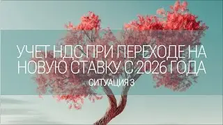 Ситуация 2. Новая ставка НДС с 01.01.2026 года: нюансы учета.