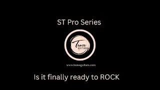 Tease Guitars ST Pro Series