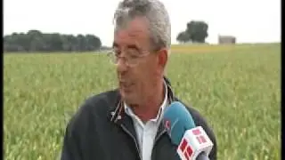 SE INICIA EL PERITAJE DE DA&Ntilde;OS DEL PEDRISCO EN LAS PEDRO&Ntilde;ERAS