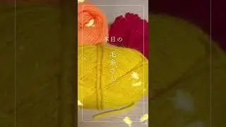 今日の毛糸さん②