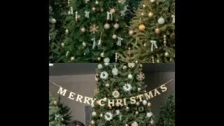 TREE LIT