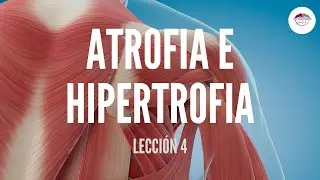 4. ATROFIA E HIPERTROFIA MUSCULAR (FISIOLOGÍA MUSCULAR)