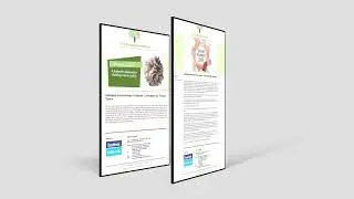 Cancer Autologous Immunotherapy -The Next level of Cancer Treatment