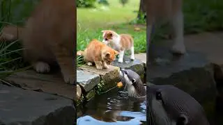 Kitten and Puppy Visit the River to Meet Their Otter Friend