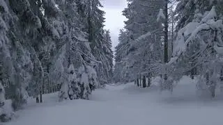 Inspiring Scenery Relaxation Piano With Snowfalls in Winter For Peaceful Meditation Study & Sleep