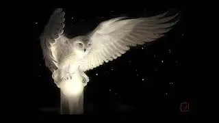 Agnelli & Nelson - Hudson Street (2000) Classic Irish Progressive Trance