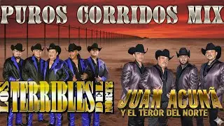 Juan Acuña y El Terror Del Norte vs Los Terribles Del Norte 🔥 Corridos Norteños Mix Éxitos