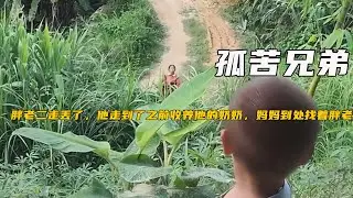 胖老二走丟了，他走到了之前收養他的奶奶，媽媽到處找著胖老二《孤苦兄弟156-160》