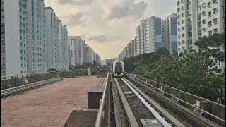 PGLRT C810 V17 Arriving Coral Edge (Service D)