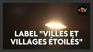 &Eacute;clairage public intelligent : &eacute;conomies d&rsquo;&eacute;nergie et respect de la biodiversit&eacute;