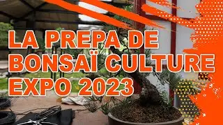PREPA DE BONSA&Iuml; CULTURE EXPO 2023