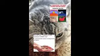 мем 93 #хочуврек #мем #memes