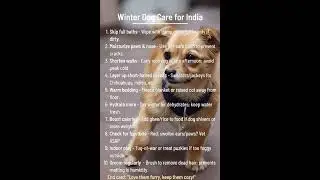 Gojira Dog Winter Care Tips