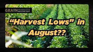 Did Corn/Soybeans Post 
