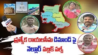 Public Pulse : Nellore Public Opinion On Separate Rayalaseema Demand || Bharat Today