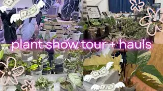 Buying Wishlist Plants at a Canadian Rare Plant Expo | Edmonton Aroid Show