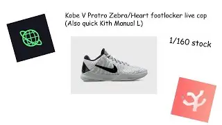 Kobe V Protro Zebra Footlocker Live Cop