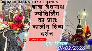 बाबा बैधनाथ का प्रातः कालीन सरदारी पूजा का दिव्य दर्शन 🔱 आज दिनांक - 01/02/2026 #shorts
