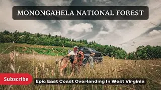 The Best Overland Route On The East Coast? - Monongahela National Forest, West Virginia