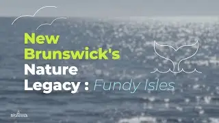 Nature Legacy - Fundy Isles
