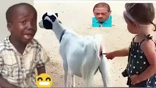 Try Not to Laugh 😂😂 with STREET DRILL, Funny videos compilation Worldwide Ep 3