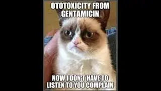 Gentamicin