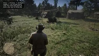 RDR2 LIVE GAMEPLAY (Portrait)