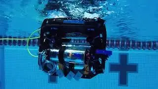 Lionfish MQP Phase 4