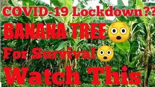 LOCKDOWN FOR SURVIVAL