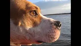 Lowcountry Life (2005)