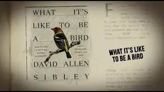 What It's Like to Be a Bird, A Conversation with David Sibley