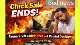 Lahore Tollinton Market Live Update | Today Chicken Rates & Tragic Accident