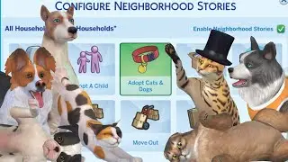 Leaving Neighborhood Stories running&hellip;with only 'Adopt Cats and Dogs' enabled? 🐱🐶 | The Sims 4