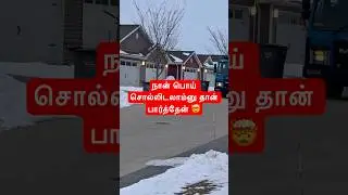 😩நான் almost பொய்💢சொல்ல போனேன் ⁉️#usa #usalife #america #usatamilvlog #tamil #tamilshorts #mini