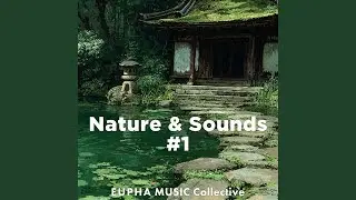 Forest Echoes