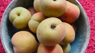 Health benefits of Peach 🍑 for your skin and hair. @Datingwithfitness-Shivani