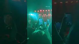 Ari vids